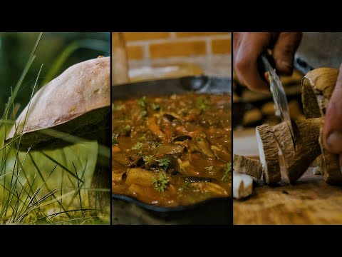 [4K] 🍄🏕️ LECCINUM MELANEUM IN PROVENCAL SAUCE COOKED AD-HOC IN A PAN