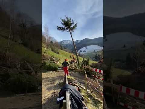 Schwarzwaldhaus 1902