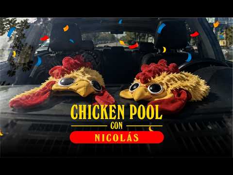 Chicken Pool — video 6