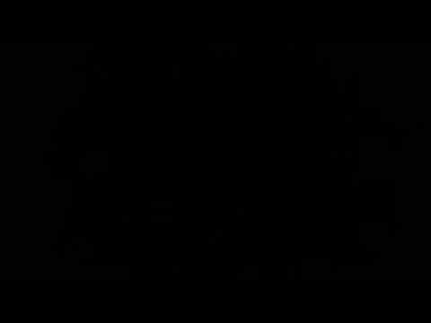 Lil Kettle & Sharky Producent - Kochamy Dziewczyny