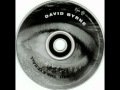 David Byrne - Broken Things