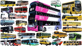 Download lagu SUPER LONG BUS - Triple-decker bus, Coach, Ambulance, Police Bus | Buses Vehicle Collection Name mp3 Download lagu SUPER LONG BUS - Triple-decker bus, Coach, Ambulance, Police Bus | Buses Vehicle Collection Name mp3