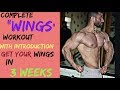 BEST WINGS WORKOUT|COMPLETE BACK/WINGS EXERCISES FOR BEGINNERS