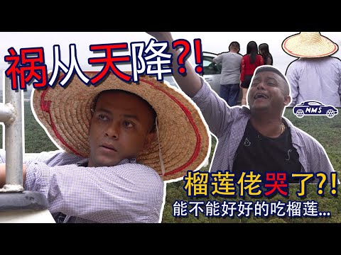 No Time for You to Done Your Windscreen Replacement / Repair?