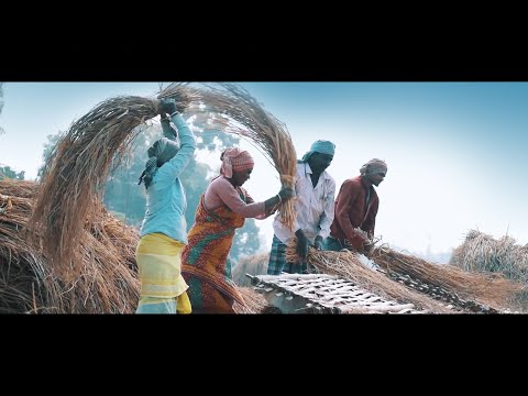 Cinematic Farming Success Story