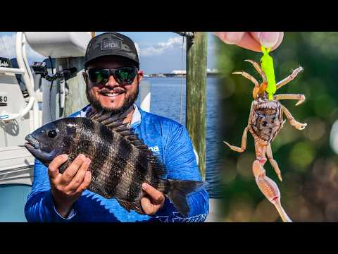Fishing Docks for Sheepshead on YouTube