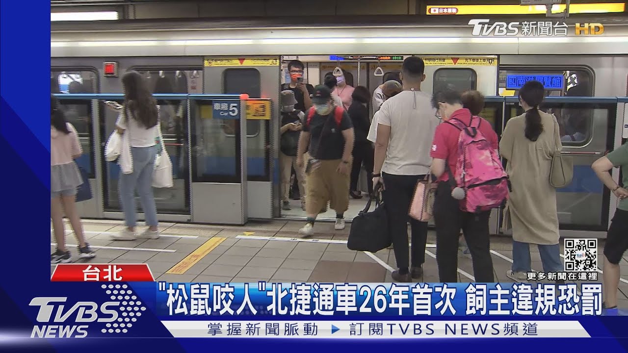 北捷月台有動物! 松鼠亂竄咬傷候車乘客