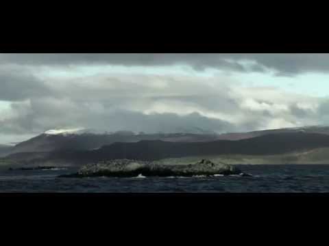 La Cárcel del Fin del Mundo (Teaser Oficial) (HD)