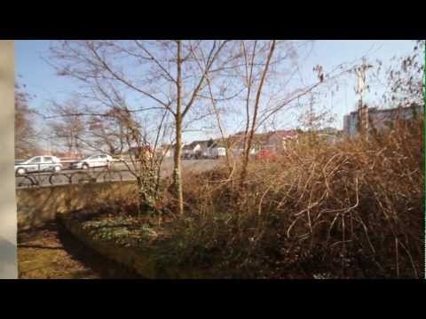 Sanierte Altbauwohnung im unteren Frauenland mit top Anbindung zu den Universitäten