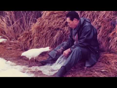 トキの歴史