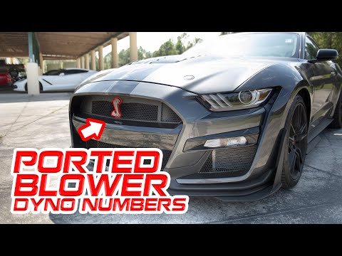 2020 GT500 || We installed a Jokerz Ported blower and more for big gains!
