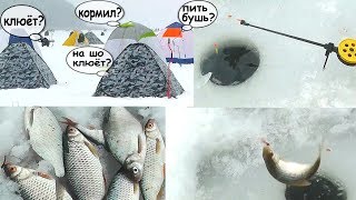 ЗИМНЯЯ РЫБАЛКА 🐟 Ловля на удочку и мормышку Старый Салтов