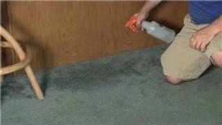 Carpet Cleaning : How to Remove Mildew & a Musty Smell From Carpet