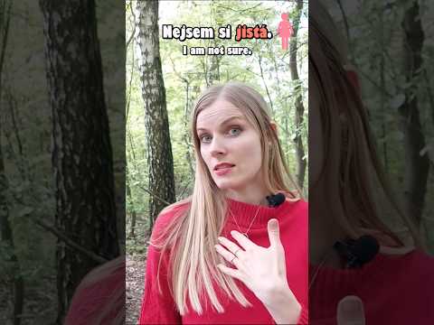 6 Czech Phrases with Ne-