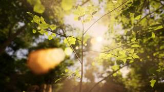 My Dear Emma announcement trailer teaser
