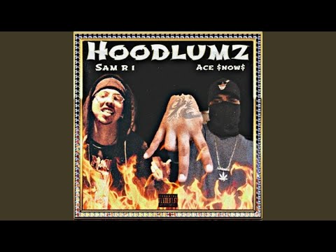 HOODLUMZ (feat. Ace $now$)