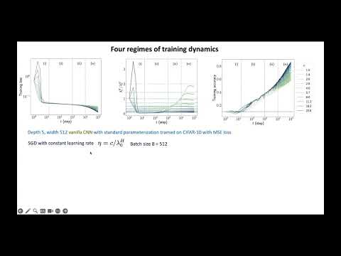 Survey Lecture 12: Maissam Barkeshli