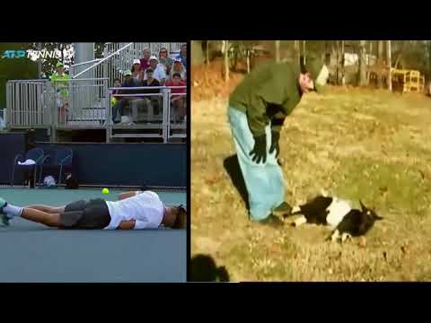 Tennis player affected by a strange "goat" syndrom