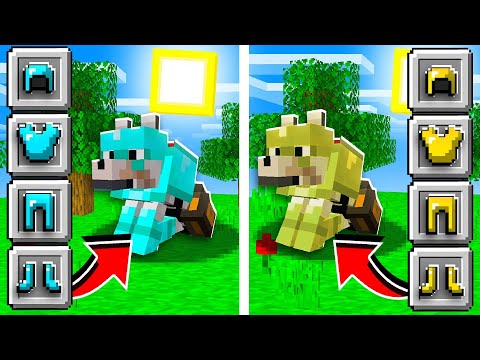 How To Get WOLF ARMOR in Minecraft!