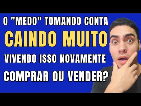 Análise de carteira de investimentos: estratégias e aprendizados