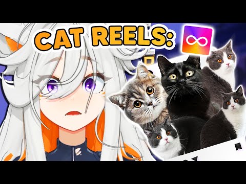 Deme Reacts to Memes But It’s Full of CATS