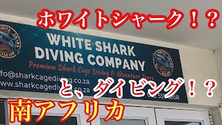 【アフリカ旅行⑦】南アフリカ、旦那のバケットリストに付き合う1日。サメが…