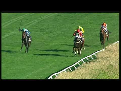 Galoppo 23/11/2020 - 1ª corsa