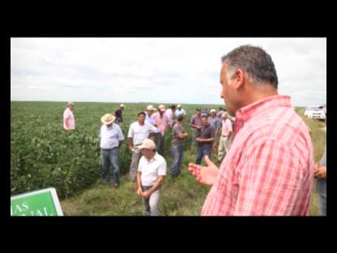 WASHINGTON AMARILLO - LA CATUMBERA TREINTA Y TRES