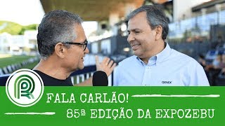Miniatura do vídeo