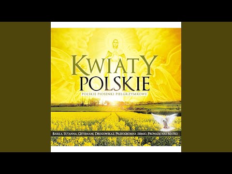 Ja wiem w kogo ja wierzę