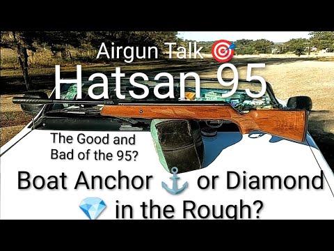 Thinking about Buying the Hatsan 95?🎯 Airgun Blog:🎯
