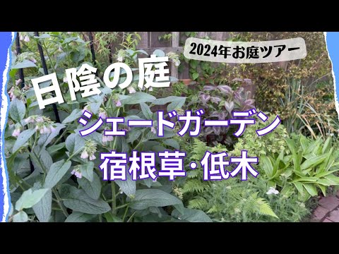 日陰を好む植物：庭を素敵にするトップ5！  庭園