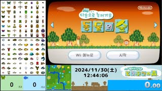 【街森RTA】韓国版でのんびり虫魚集め