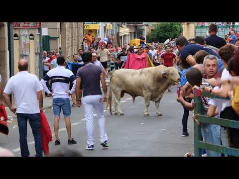 Los ciclistas más pequeños dan el pistoletazo de salida a la Vuelta Ciclista Salamanca en...