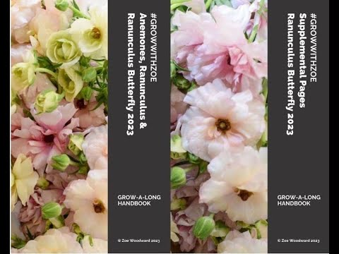The Difference between the Handbooks for Ranunculus, Anemone and Butterfly Ranunculus
