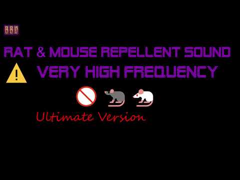 ⚠️(Ultimate Version) 🚫🐀🐁 Rat & Mouse Repellent Sound Very High Frequency (9 Hour)