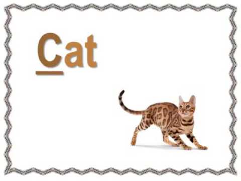 كلمات تبدا بحرف ال C