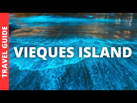Vieques Island Puerto Rico Travel Guide: 13 BEST Things To Do In Vieques Island