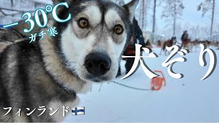 【−30℃☃️🩵】フィンランド・ロヴァニエミ3泊4日🇫🇮｜オーロラ3回挑戦・犬ぞり・サンタ村・世界最北マック🐟