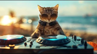Download lagu DJ Miaww Live - Chillout Lounge 2025 | Deep House Vibes for Beach Relaxation 🏖️🌞 mp3