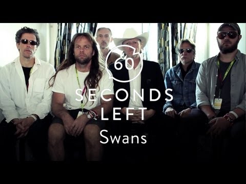 Swans Challenge You to a Staring Contest - 60 Seconds Left