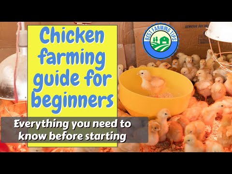 , title : 'Chicken farming guide for beginners: Everything you need to know before starting'