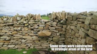 Farmer Know How: land reclamation