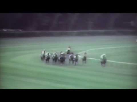 Nagroda Derby - 5.07.1992 - Mokosz (Unoaprile - Mabell)