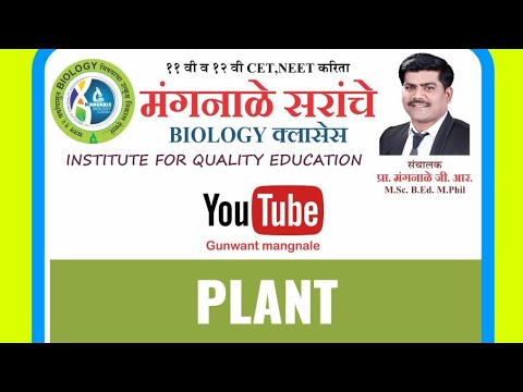 11TH CHAP-5(LECT -4) MORPHOLOGY OF FLOWERING PLANT - LEAF AND INFLORESCENCE BY MANGNALE SIR.
