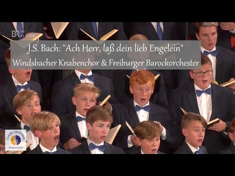 J.S. Bach: "Ach Herr, laß dein lieb Engelein" | Windsbacher Knabenchor & Freiburger Barockorchester