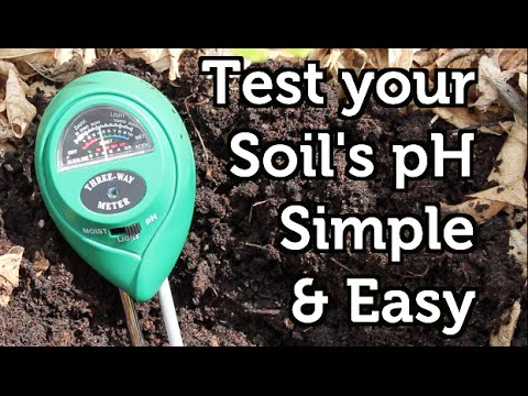 How to measure your soil ph cheap and easy