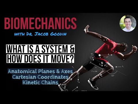 Biomechanics: What is a System & How Does It Move? Part 1