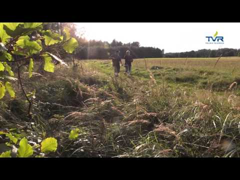 Darz Bór odc. 108 - Co w nowym sezonie?