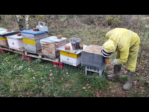 Пчеловодство. Защита ульев от грызунов. Чем утеплить тонкостенные ульи.Утепление ульев в зиму.